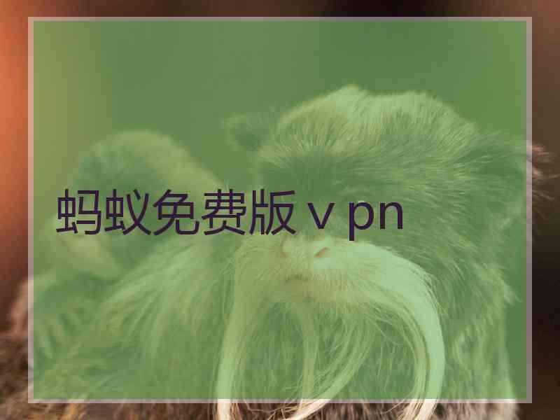 蚂蚁免费版ⅴpn