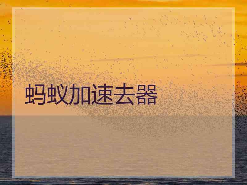 蚂蚁加速去器