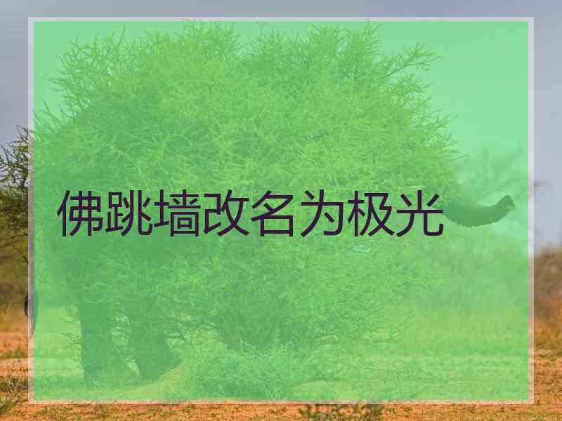 佛跳墙改名为极光