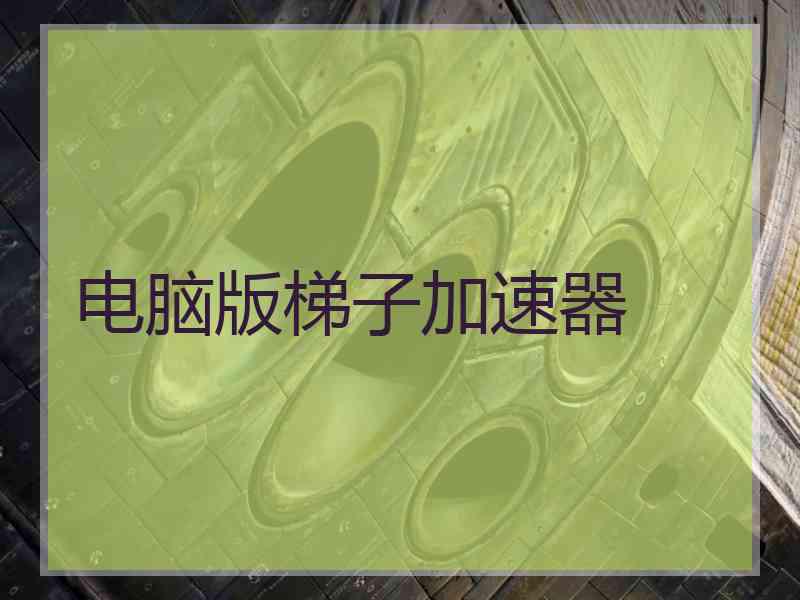 电脑版梯子加速器