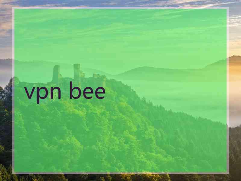 vpn bee