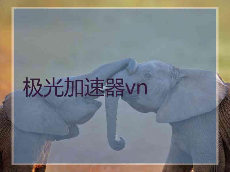 极光加速器vn