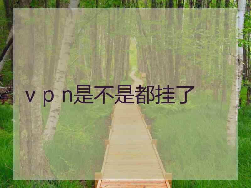 v p n是不是都挂了