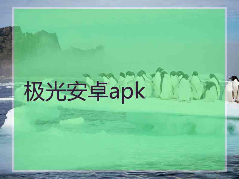 极光安卓apk