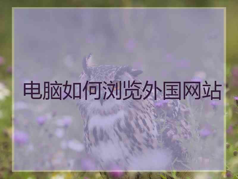 电脑如何浏览外国网站