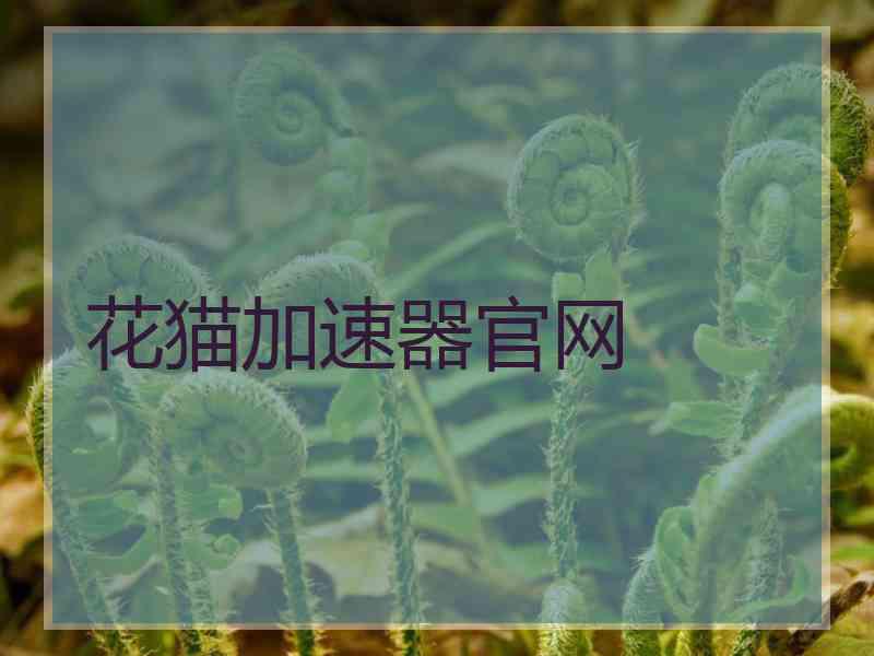花猫加速器官网