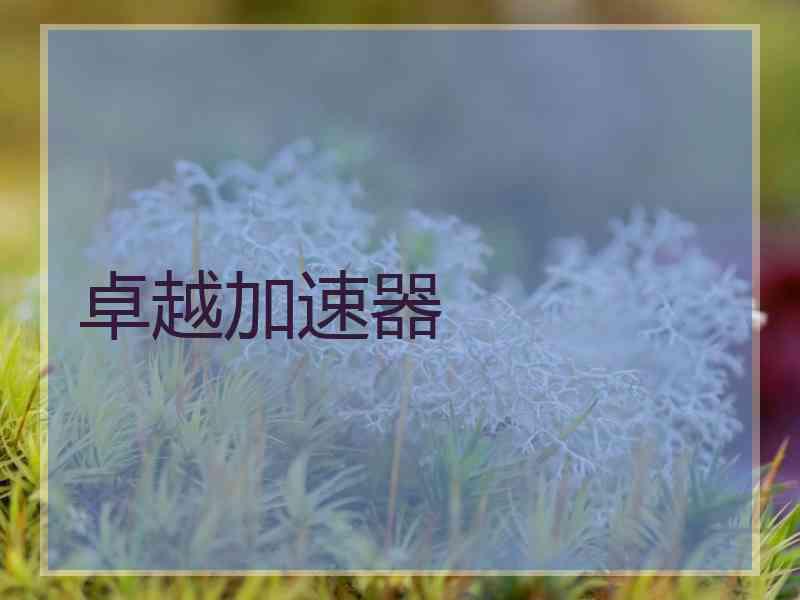 卓越加速器