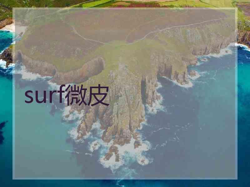 surf微皮