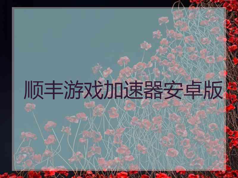 顺丰游戏加速器安卓版