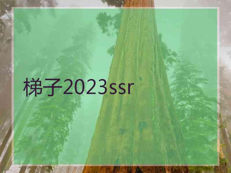 梯子2023ssr