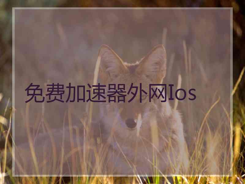 免费加速器外网Ios