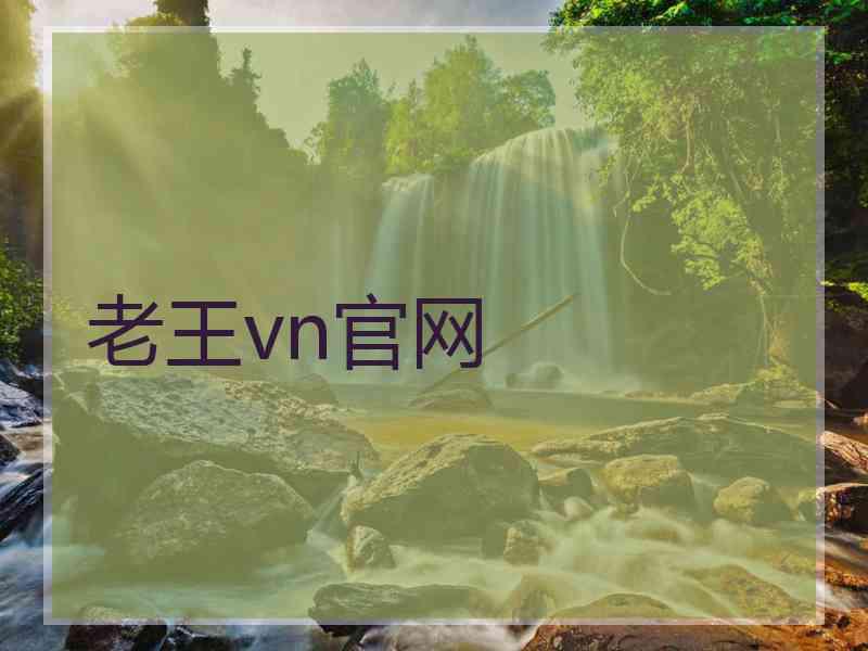 老王vn官网