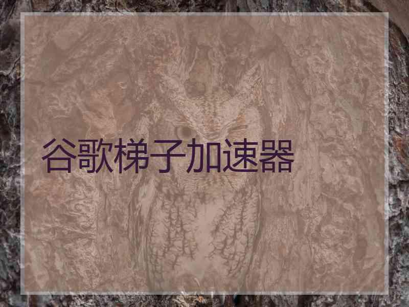 谷歌梯子加速器