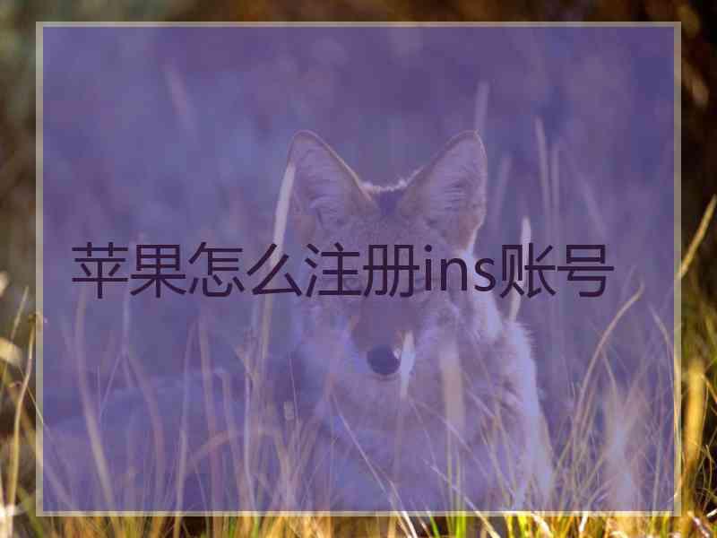 苹果怎么注册ins账号