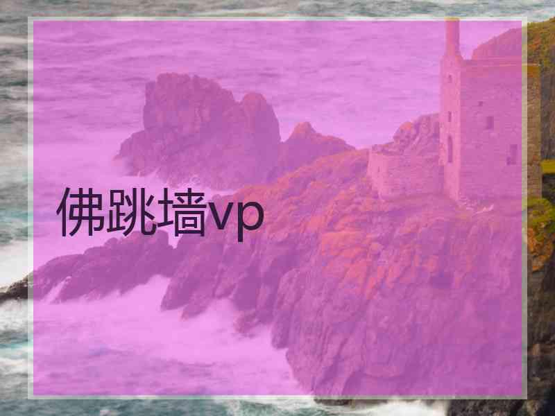 佛跳墙vp