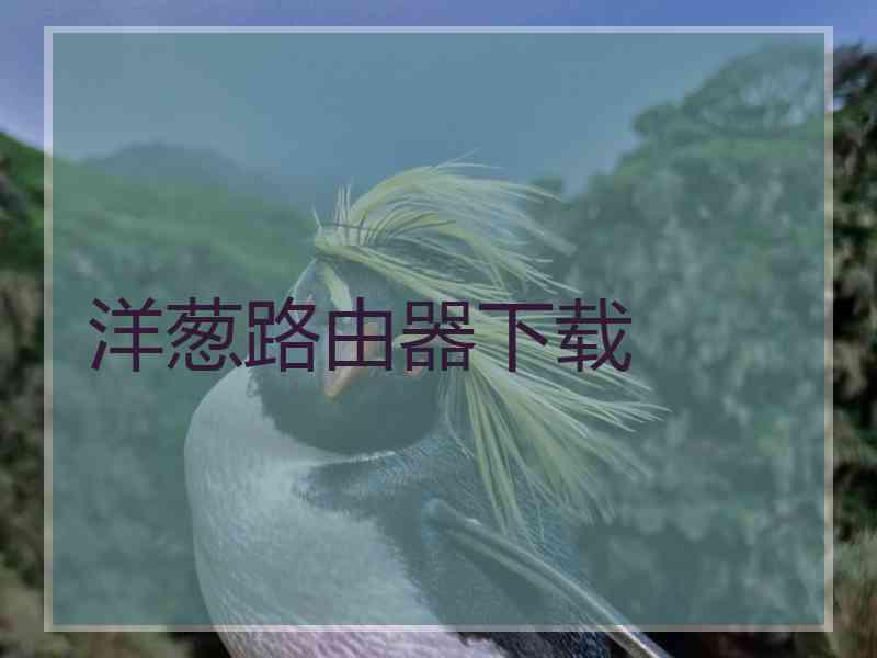 洋葱路由器下载