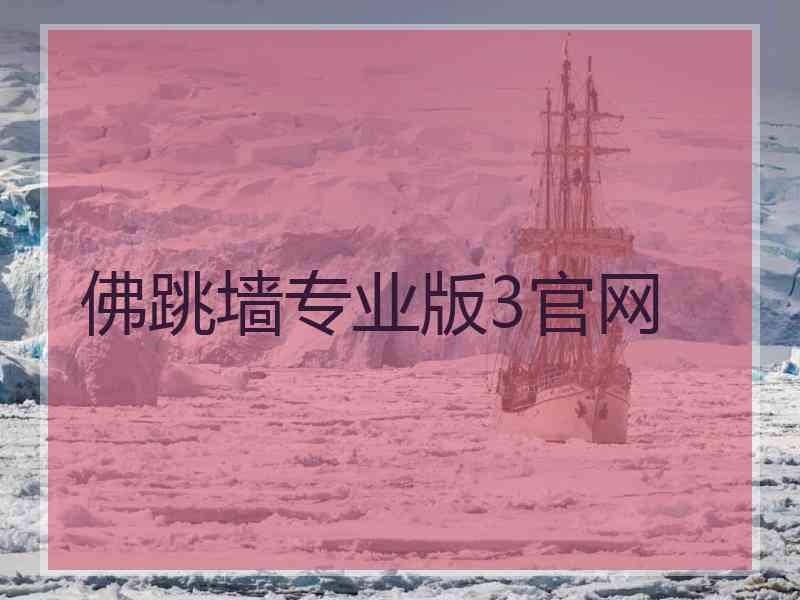 佛跳墙专业版3官网