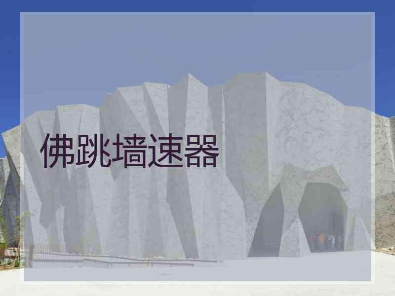 佛跳墙速器