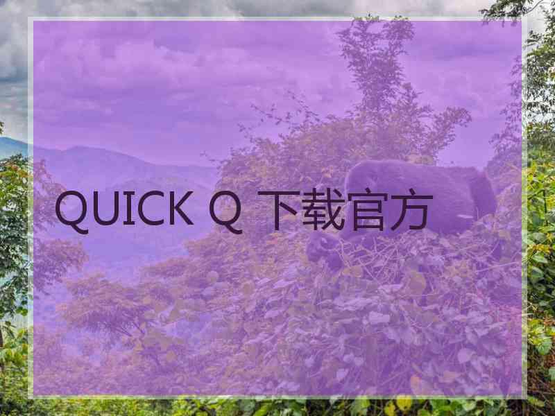 QUICK Q 下载官方