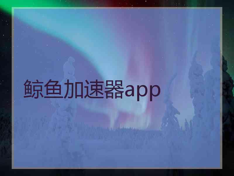 鲸鱼加速器app