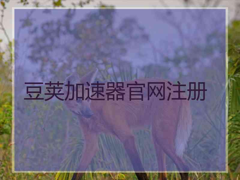 豆荚加速器官网注册