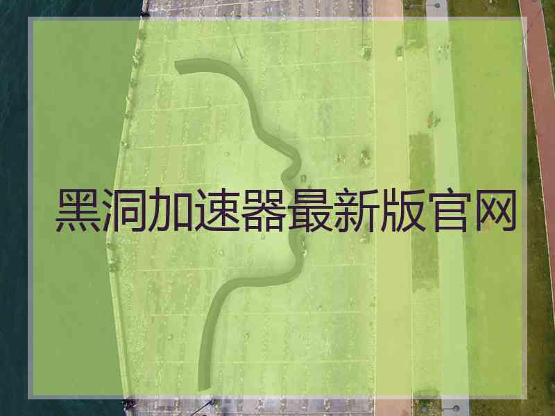 黑洞加速器最新版官网