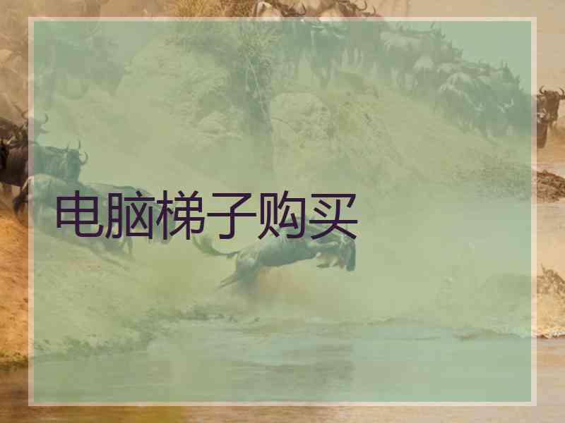 电脑梯子购买