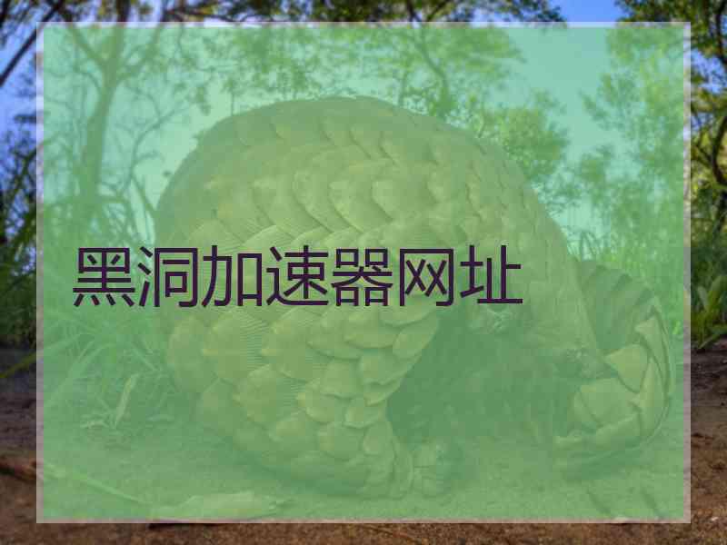 黑洞加速器网址