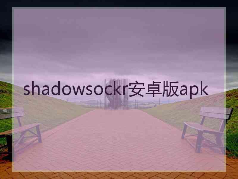 shadowsockr安卓版apk