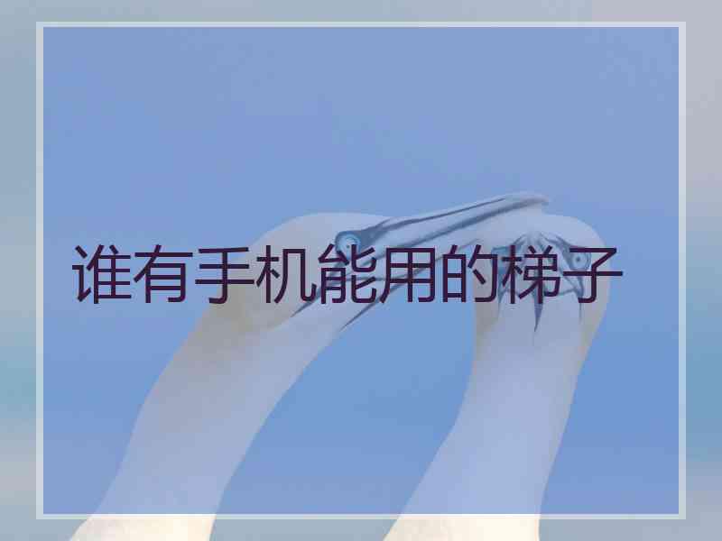 谁有手机能用的梯子