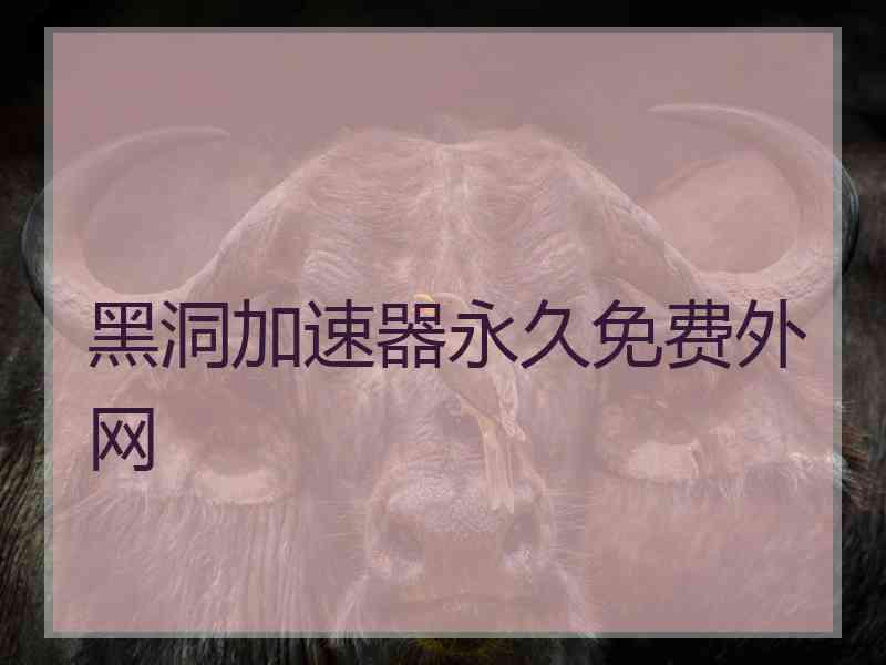 黑洞加速器永久免费外网