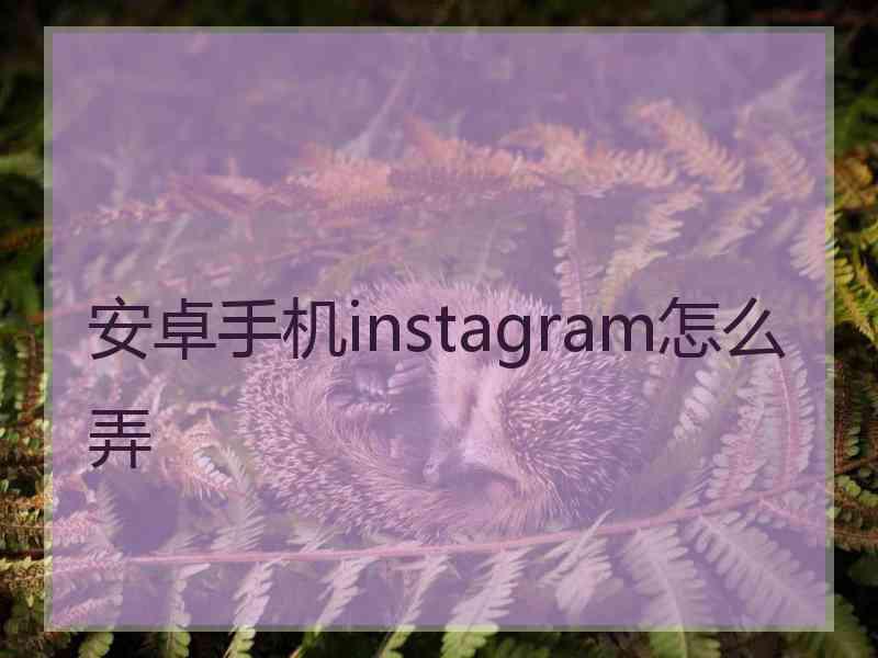 安卓手机instagram怎么弄