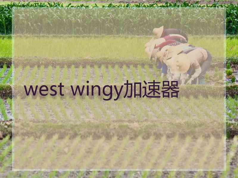 west wingy加速器
