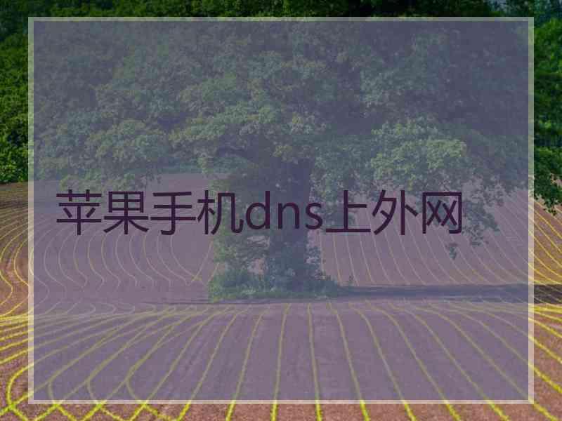 苹果手机dns上外网