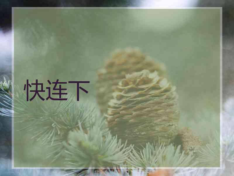 快连下