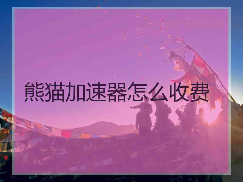 熊猫加速器怎么收费