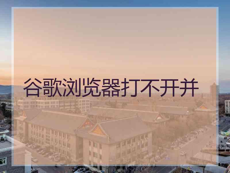 谷歌浏览器打不开并