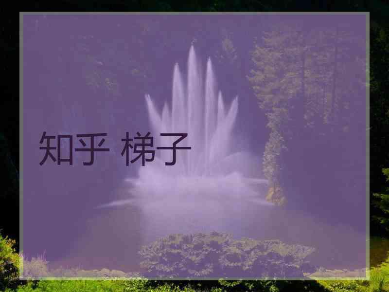 知乎 梯子