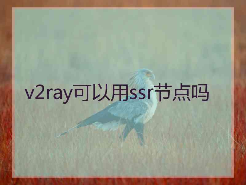 v2ray可以用ssr节点吗