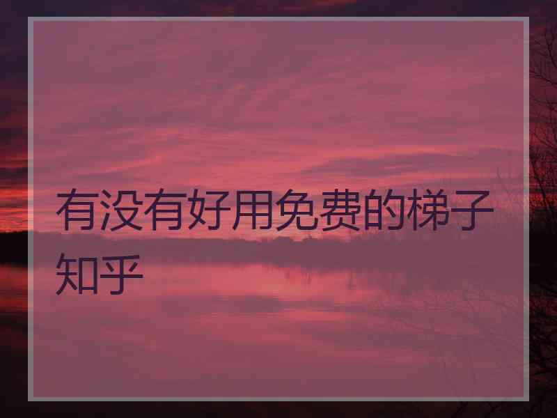 有没有好用免费的梯子 知乎