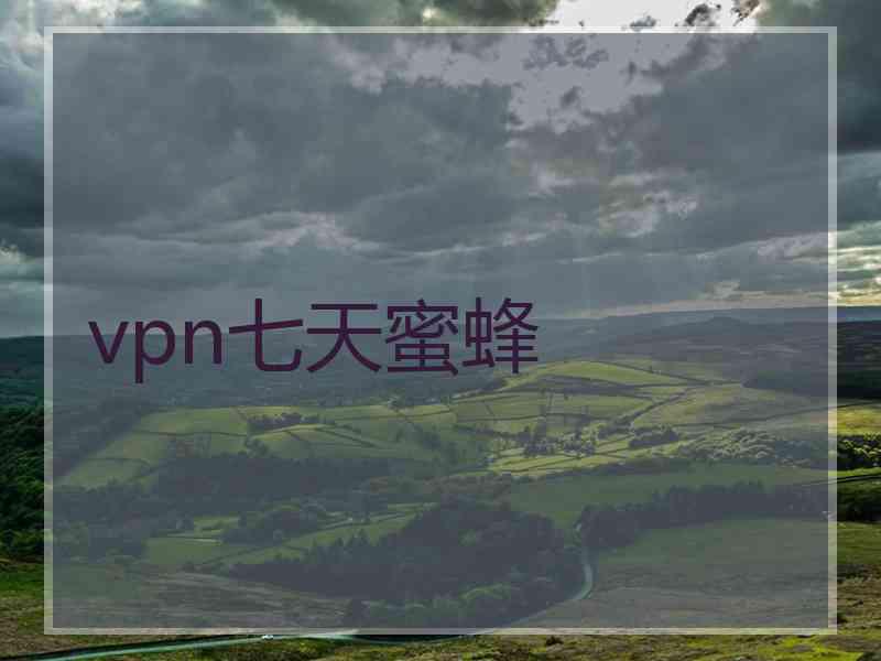 vpn七天蜜蜂