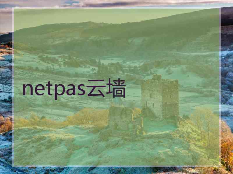 netpas云墙