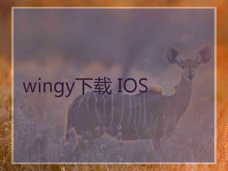 wingy下载 IOS