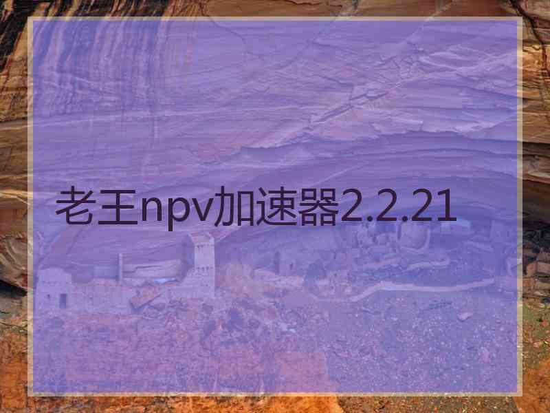 老王npv加速器2.2.21