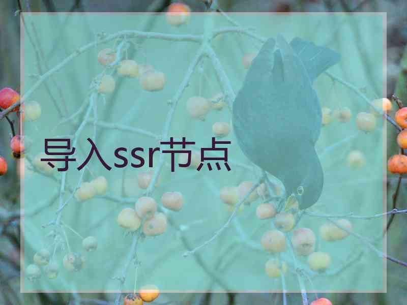 导入ssr节点