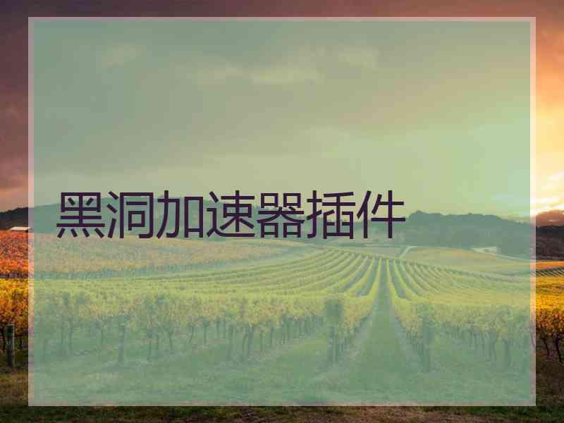 黑洞加速器插件