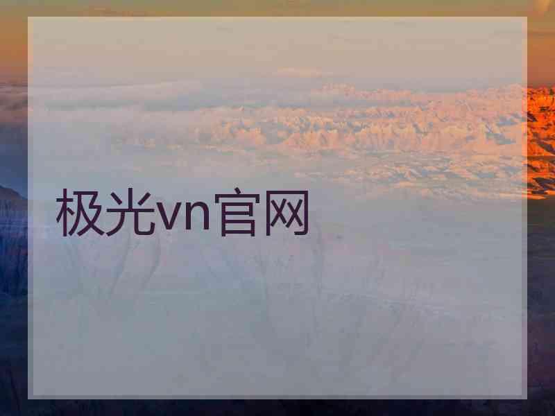 极光vn官网