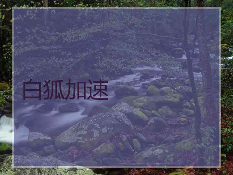白狐加速