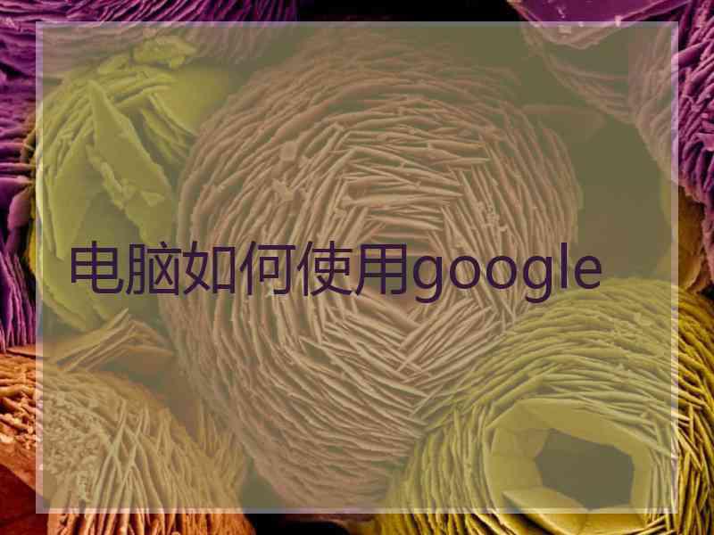 电脑如何使用google
