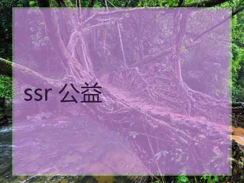ssr 公益